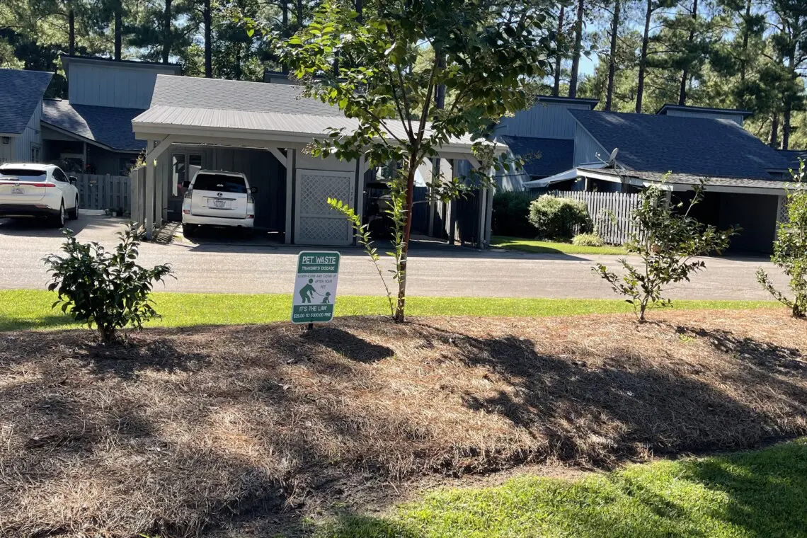 456f4936 1f5f 4e75 b971 5090410b48e9