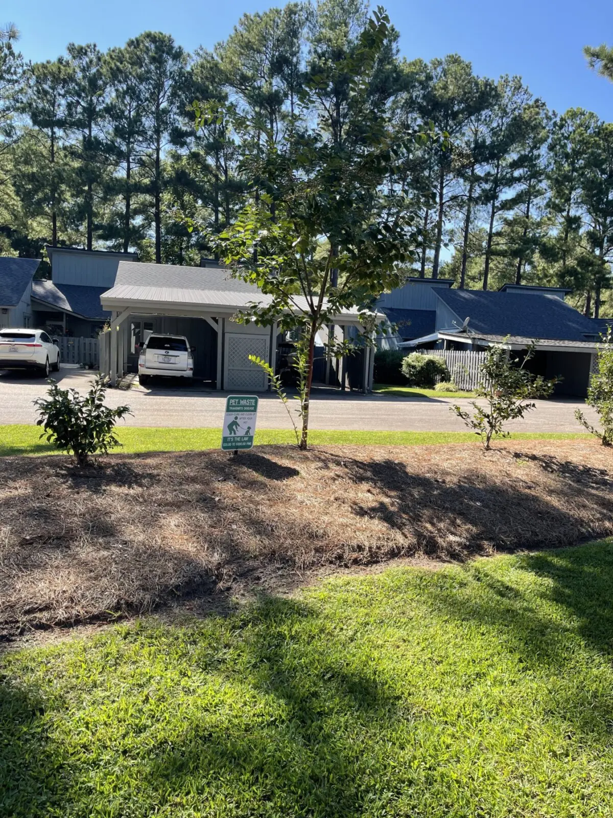 456f4936 1f5f 4e75 b971 5090410b48e9