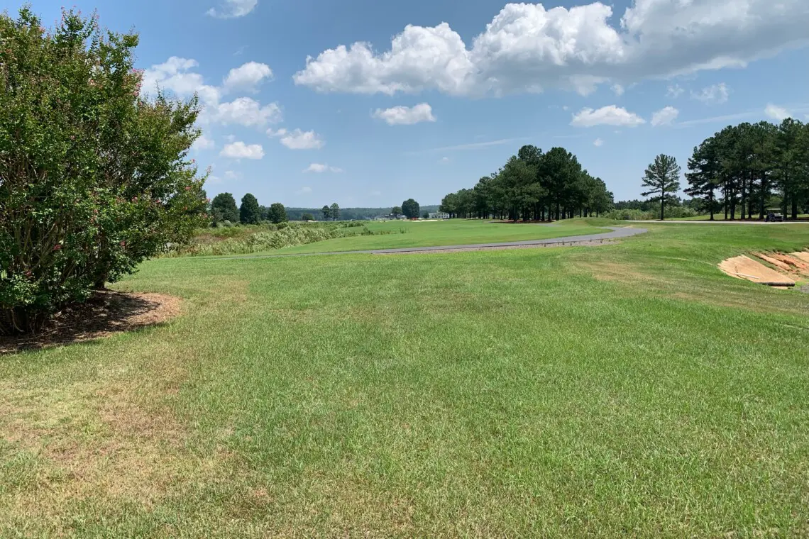 d7ace5a4 96a2 414c 9f6b e9a5af568f76